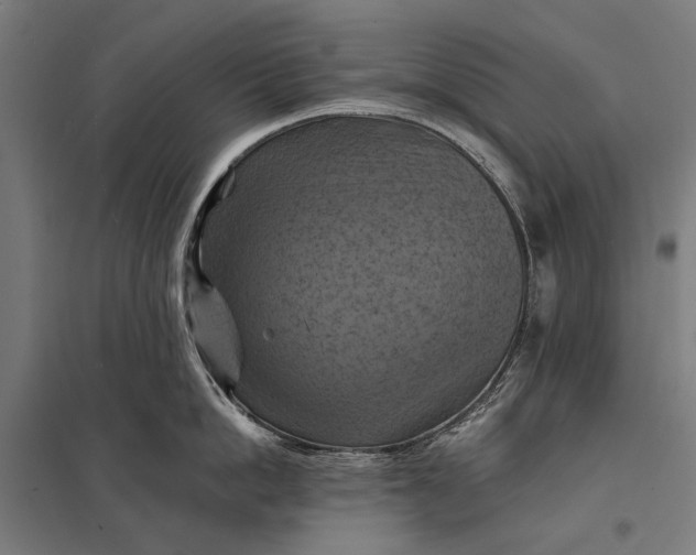 X0000097830862200803281159