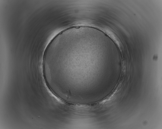 X0000097830863200803281159