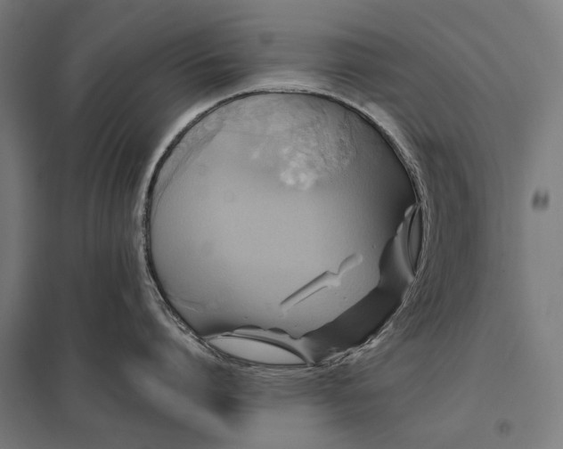 X0000097830864200803281159