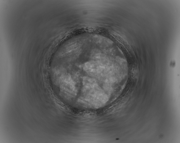 X0000097830865200803281158