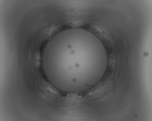 X0000097830866200803281158