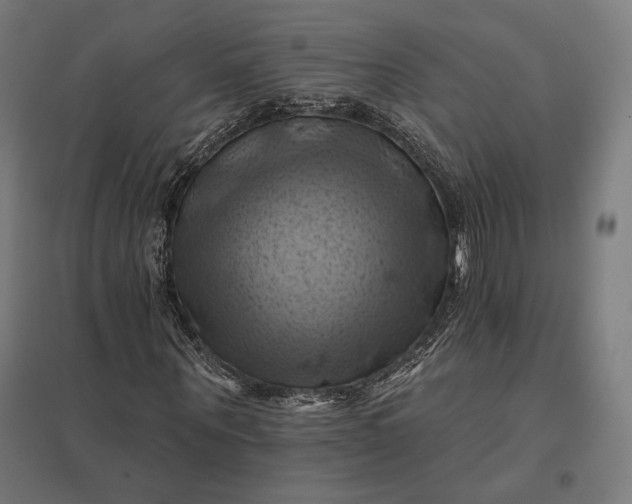 X0000097830867200803281158