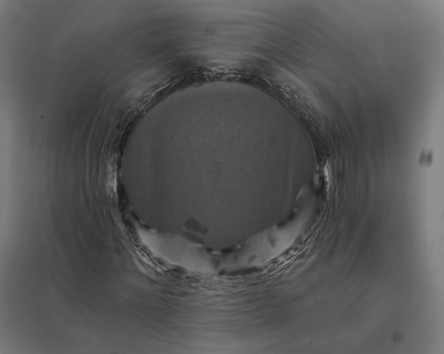 X0000097830868200803281158