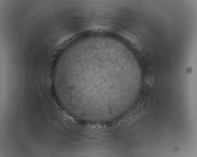 X0000097830869200803281158