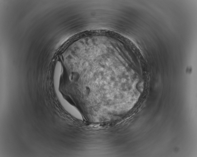 X0000097830871200803281158