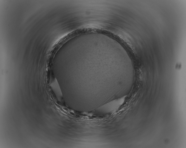 X0000097830872200803281158