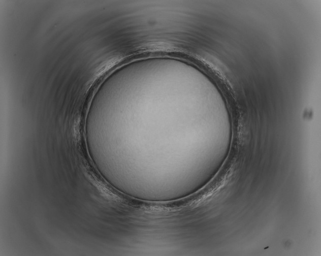 X0000097830873200803281158