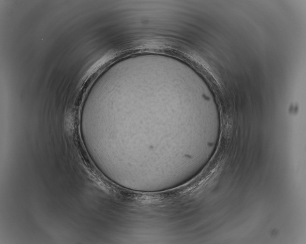 X0000097830874200803281158