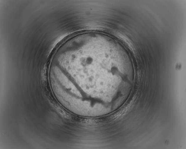 X0000097830875200803281158