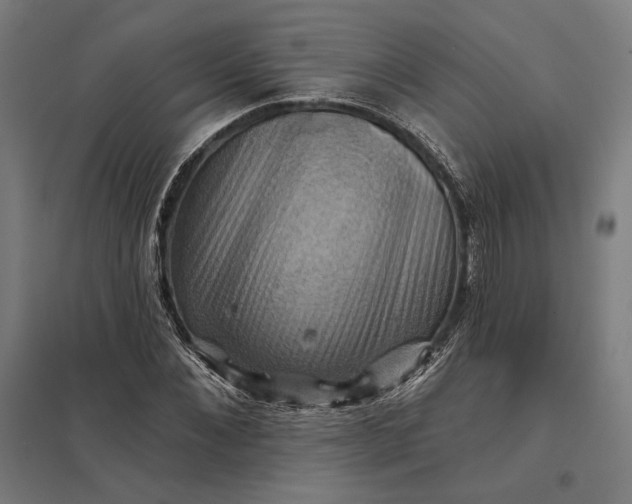 X0000097830876200803281158