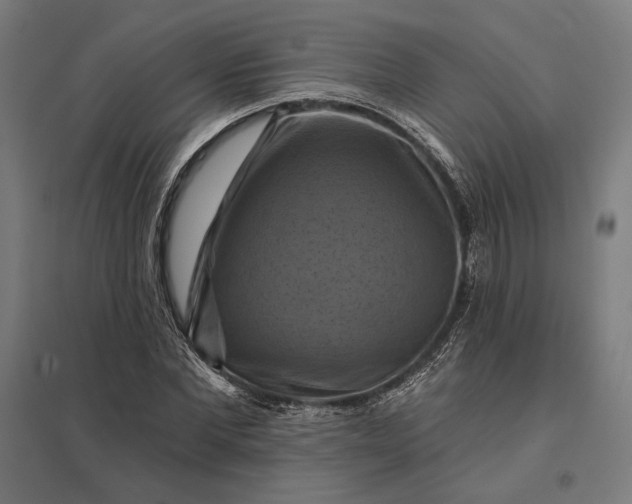 X0000097830877200803281158