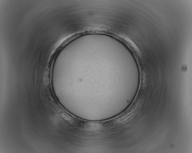 X0000097830878200803281158