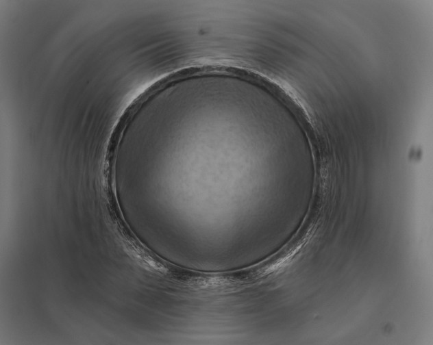 X0000097830879200803281158