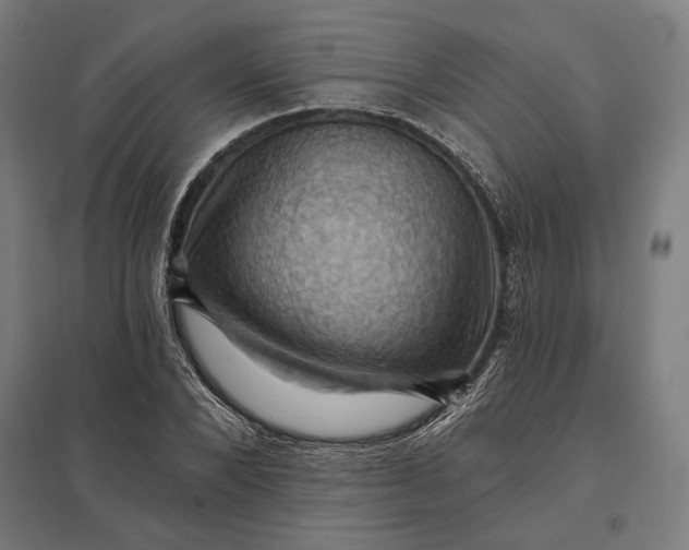 X0000097830880200803281158