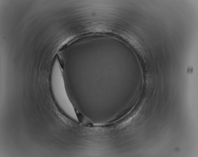 X0000097830881200803281158