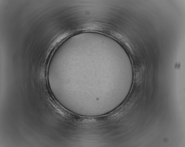 X0000097830882200803281158