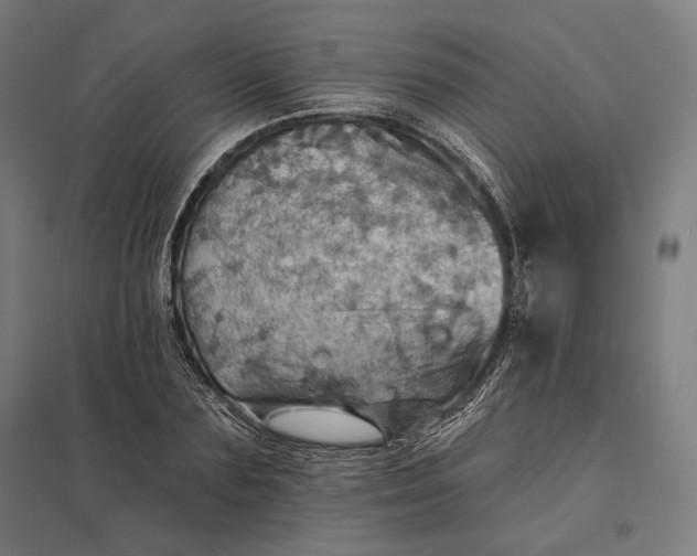 X0000097830883200803281158