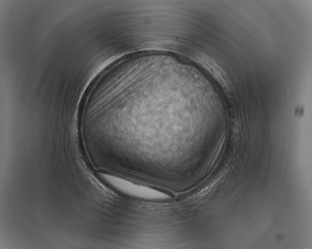 X0000097830884200803281158