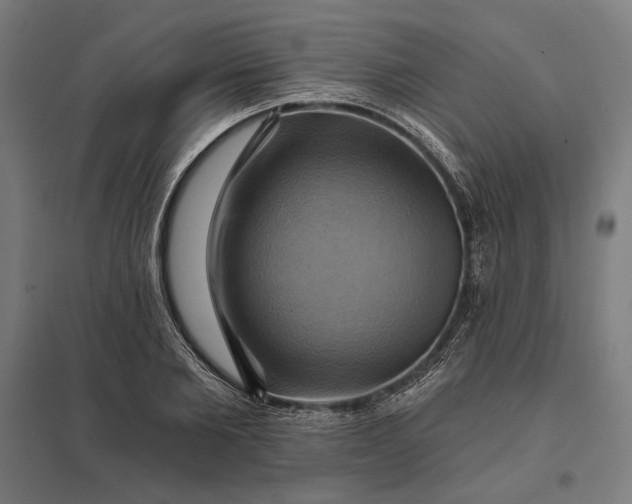 X0000097830885200803281158