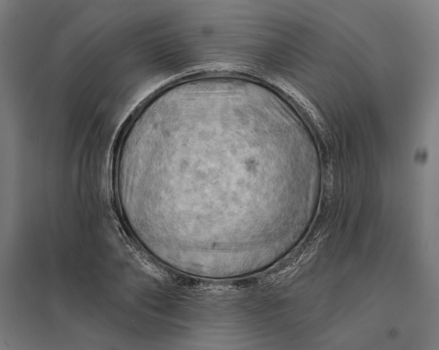 X0000097830886200803281158