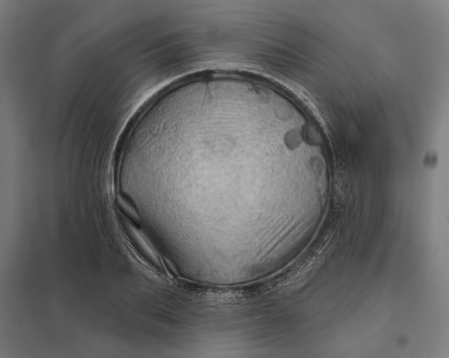 X0000097830887200803281158