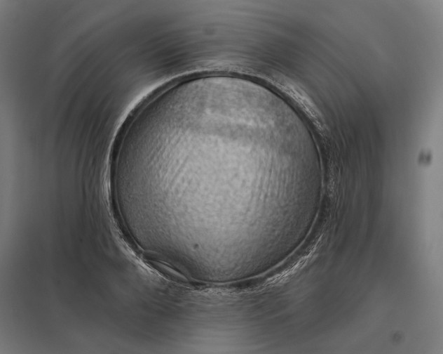 X0000097830888200803281158