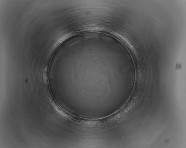 X0000097830889200803281158