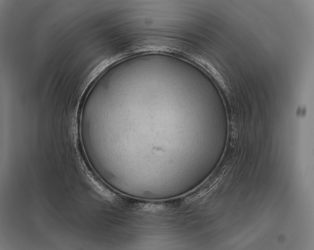 X0000097830890200803281158