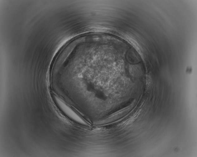 X0000097830891200803281158