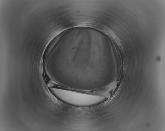 X0000097830892200803281158