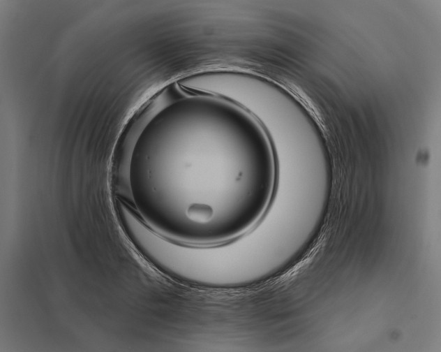 X0000097830893200803281158