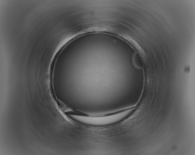 X0000097830894200803281158