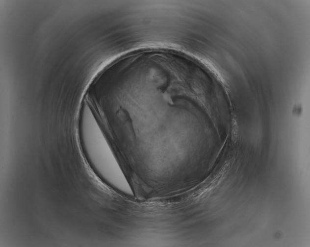 X0000097830895200803281158