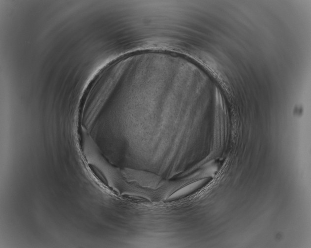 X0000097830896200803281158