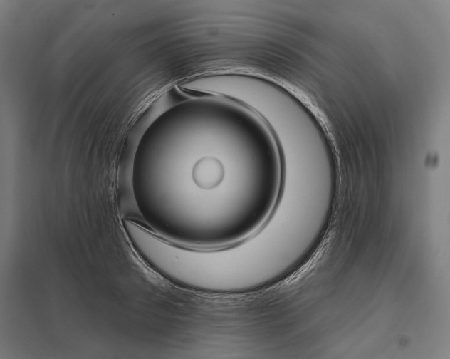 X0000097830897200803281157