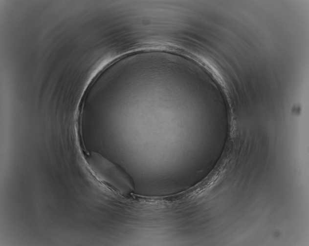 X0000097830899200803281157