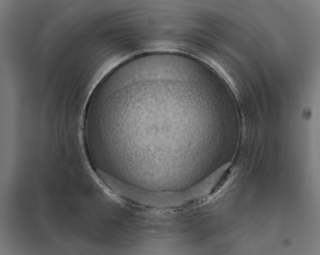 X0000097830901200803281157