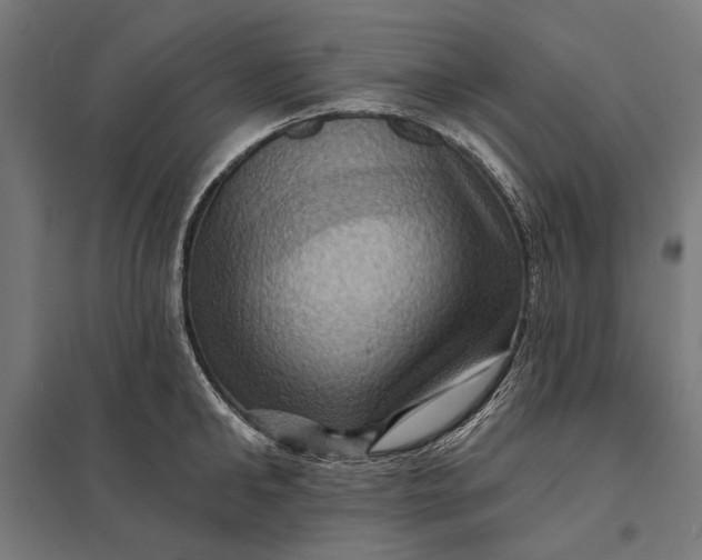 X0000097830902200803281157