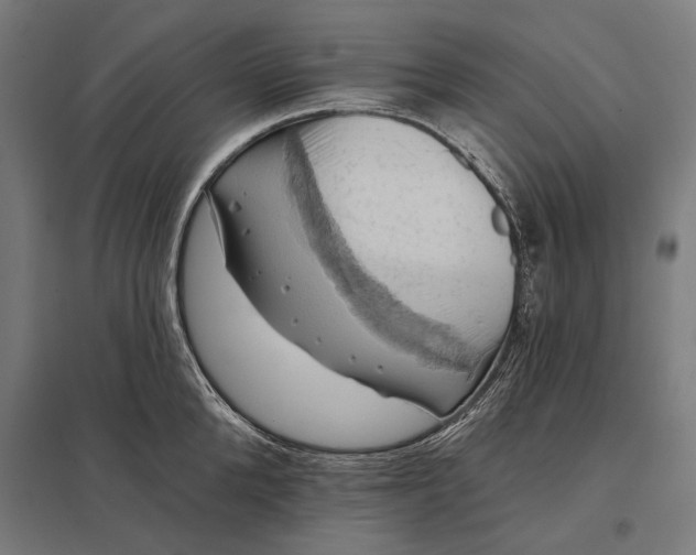 X0000097830904200803281157