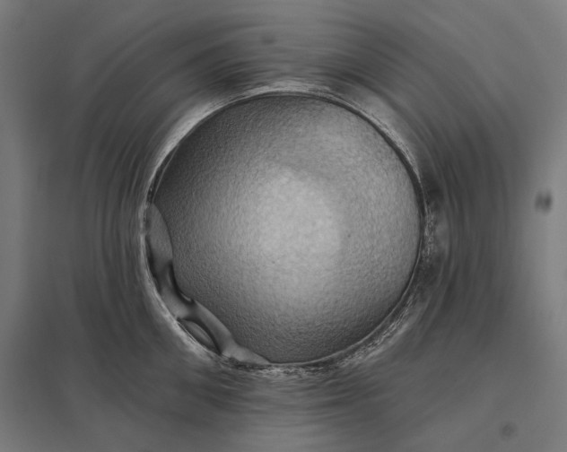 X0000097830906200803281157