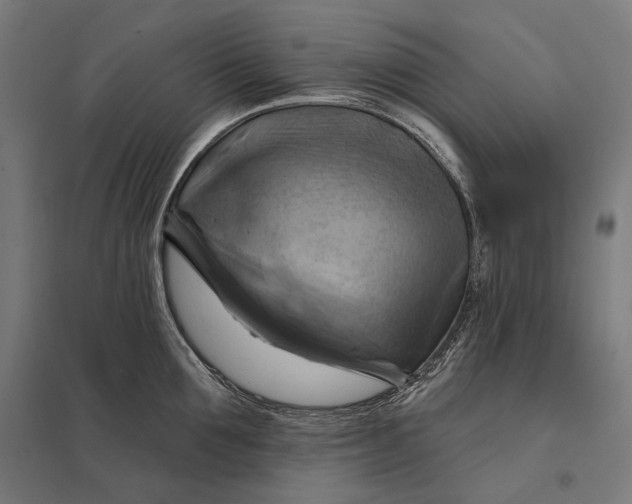 X0000097830907200803281157