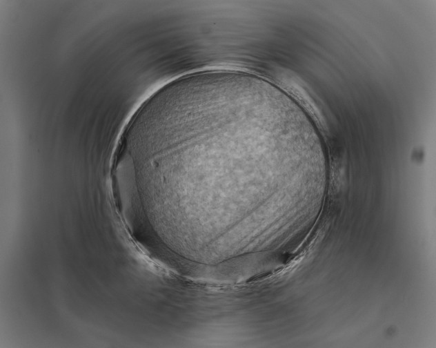 X0000097830908200803281157