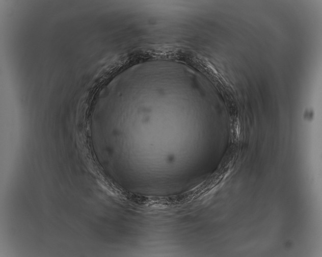 X0000097830913200803281157