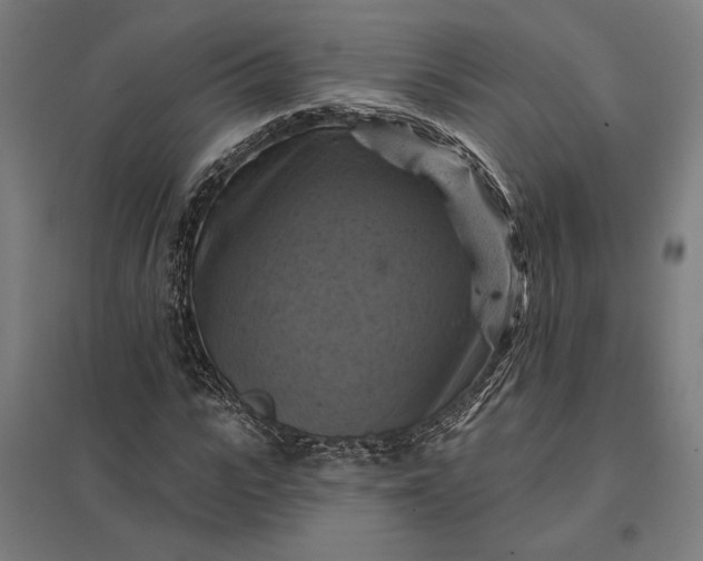 X0000097830919200803281157