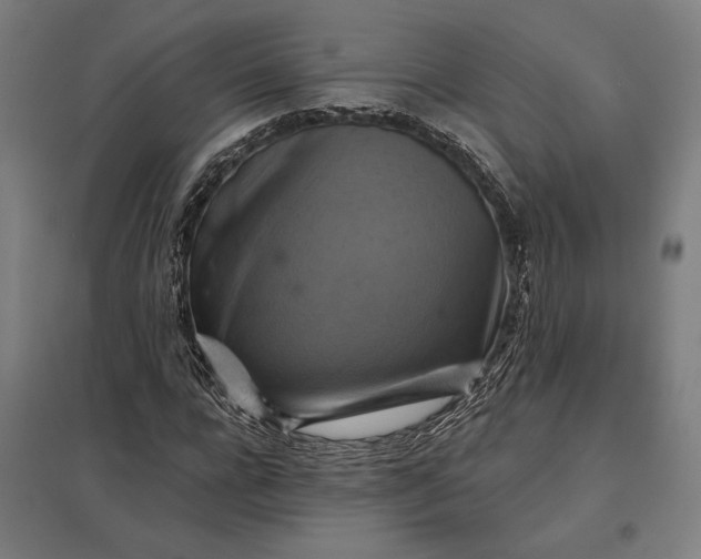 X0000097830920200803281157