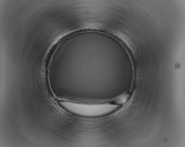 X0000097830923200803281157