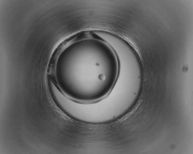 X0000097830928200803281157