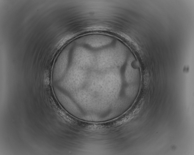 X0000097830929200803281157