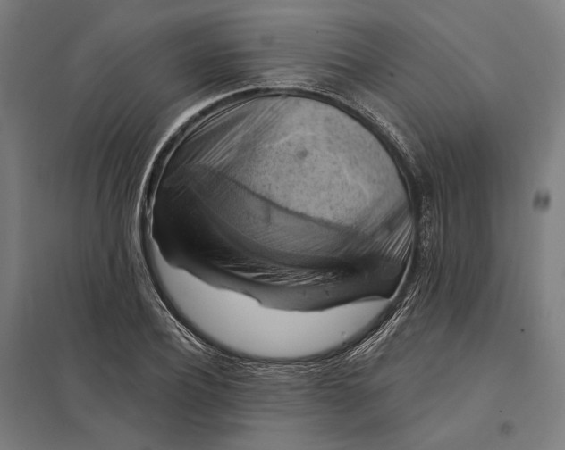 X0000097830932200803281157