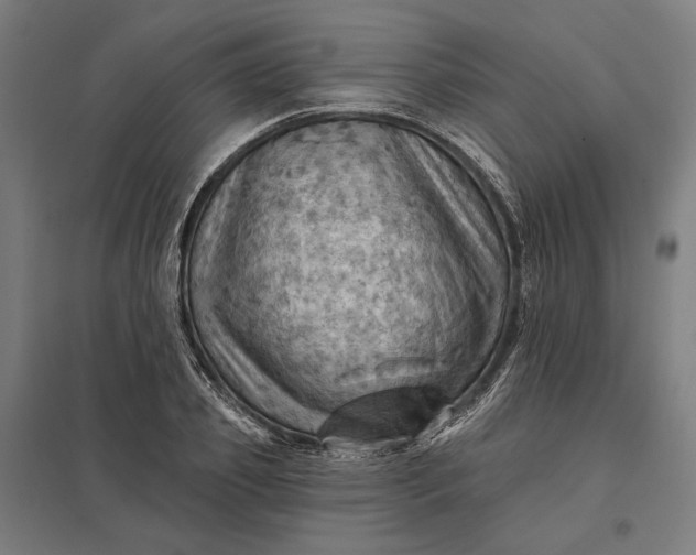 X0000097830933200803281157